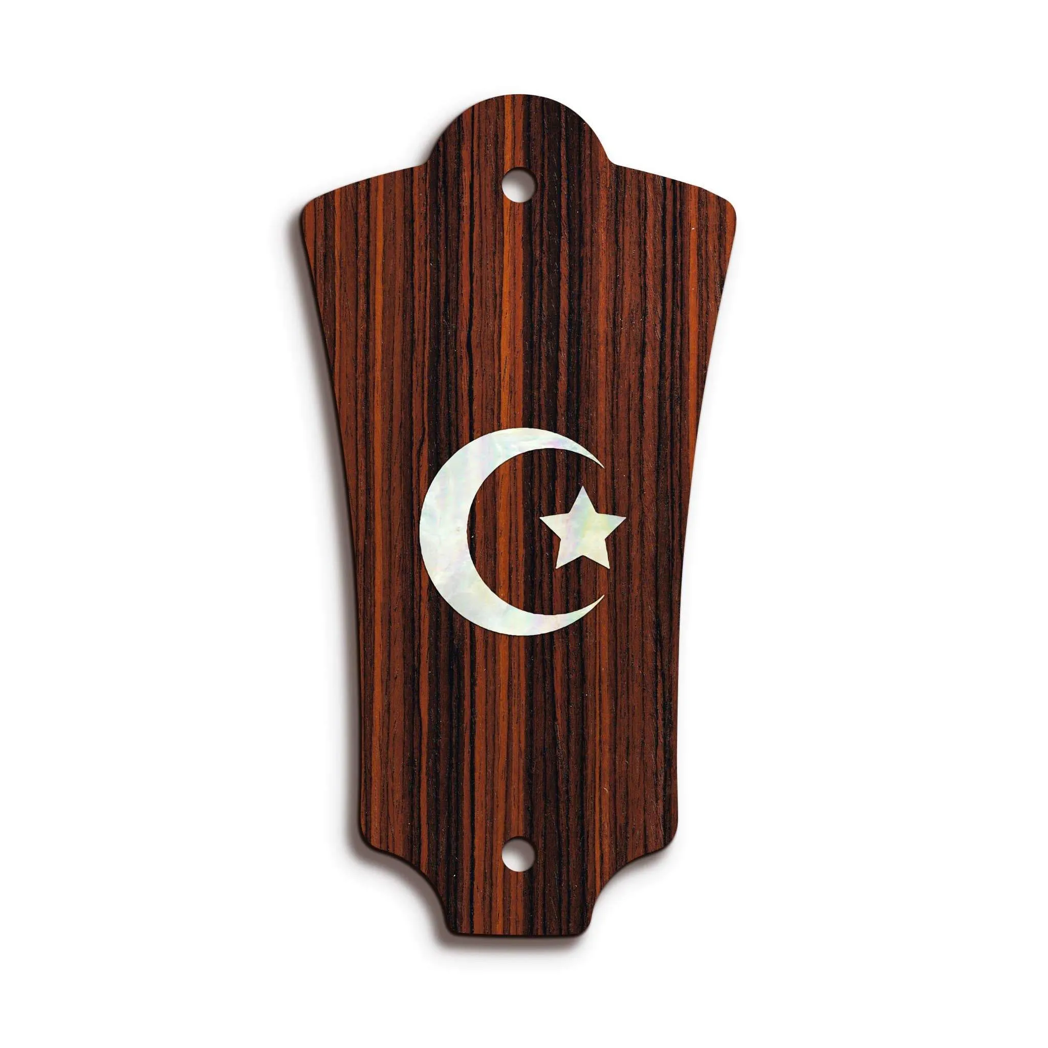 Custom Truss Rod Cover | Shape T2 - Fits Most Guild Guitars
