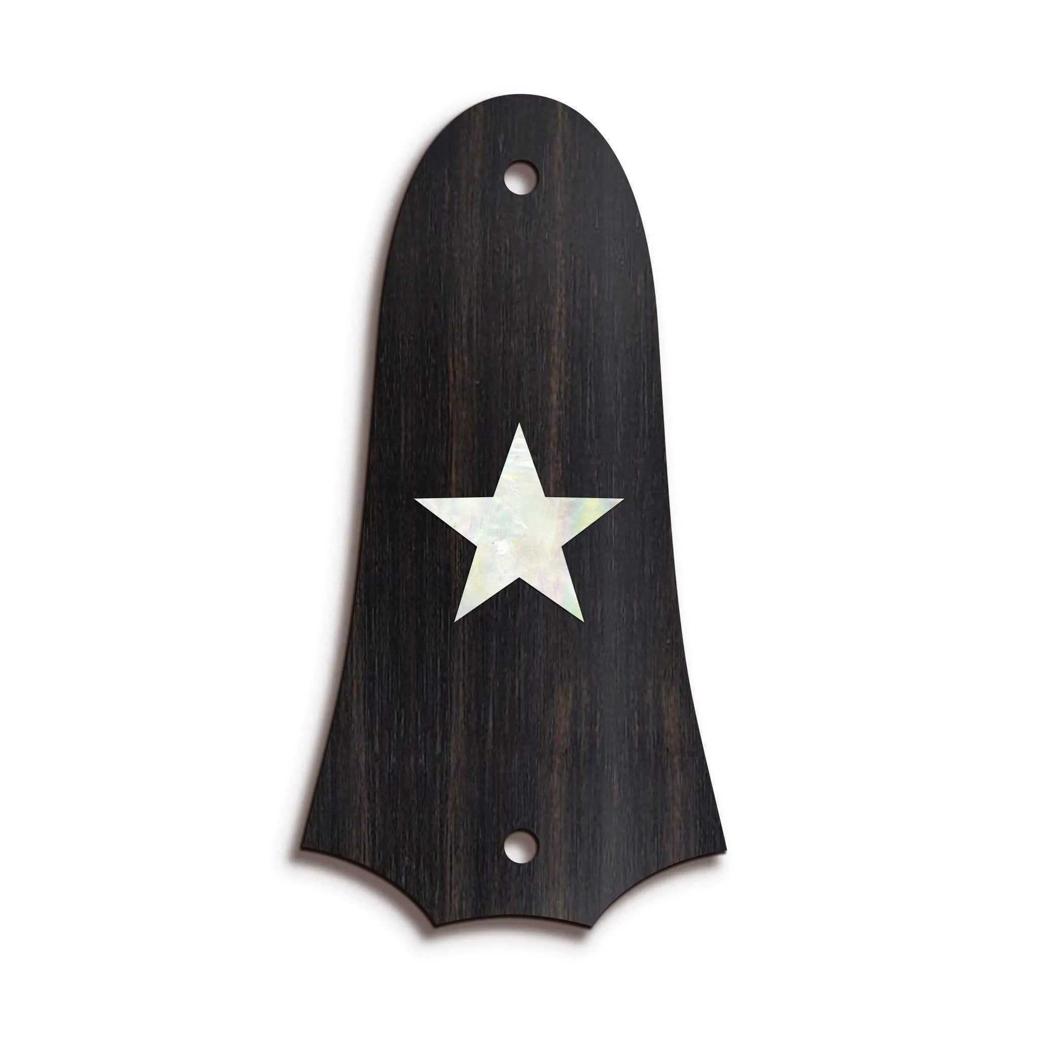 Custom Truss Rod Cover | Shape T4 - Fits 2 Hole Taylor Guitars