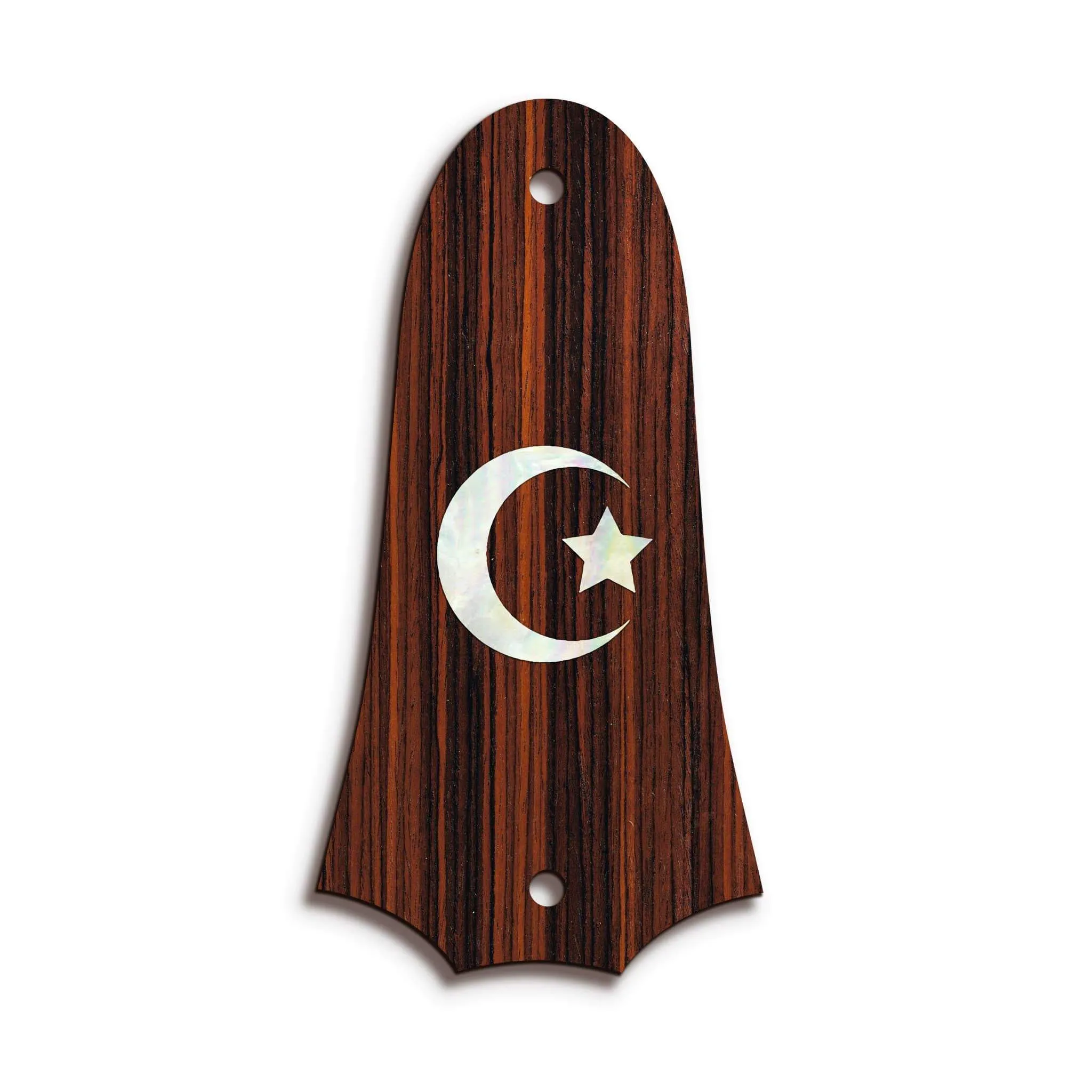 Custom Truss Rod Cover | Shape T4 - Fits 2 Hole Taylor Guitars