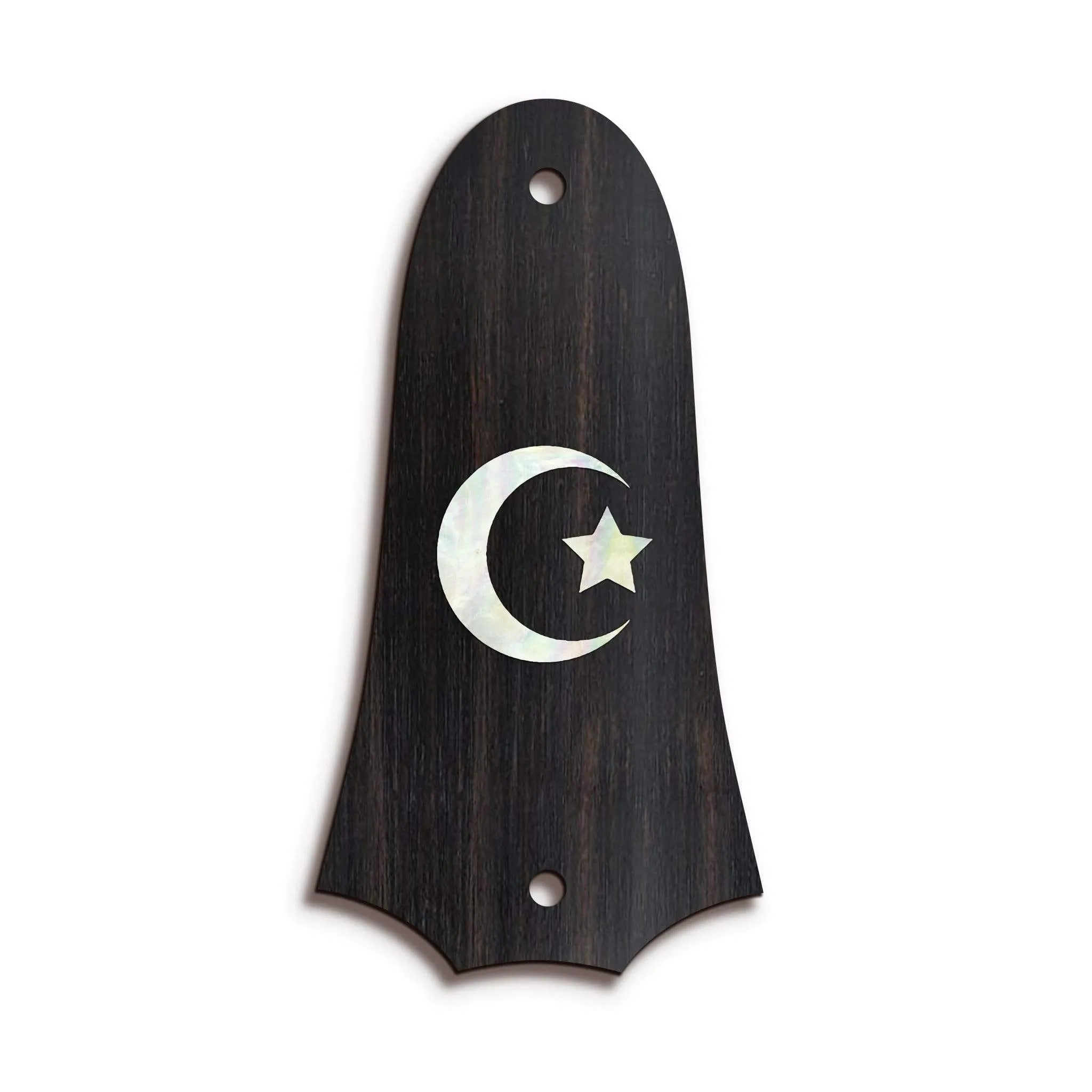 Custom Truss Rod Cover | Shape T4 - Fits 2 Hole Taylor Guitars