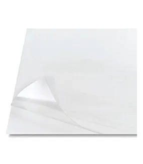 Grafix Individual Acetate Sheets (Multiple Sizes)