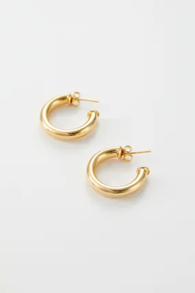 Hailey Small Thick Hoops